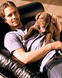 Paul Walker